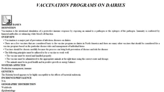 Blackwell's 5 Minute Veterinary Consult - Ruminant