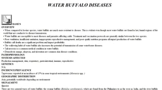 Blackwell's 5 Minute Veterinary Consult - Ruminant