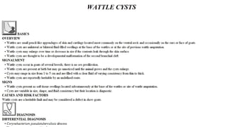 Blackwell's 5 Minute Veterinary Consult - Ruminant