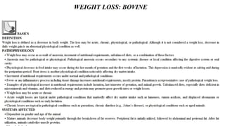 Blackwell's 5 Minute Veterinary Consult - Ruminant