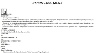 Blackwell's 5 Minute Veterinary Consult - Ruminant