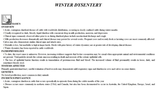 Blackwell's 5 Minute Veterinary Consult - Ruminant