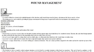 Blackwell's 5 Minute Veterinary Consult - Ruminant