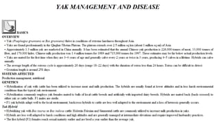 Blackwell's 5 Minute Veterinary Consult - Ruminant