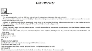 Blackwell's 5 Minute Veterinary Consult - Ruminant