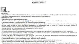 Blackwell's 5 Minute Veterinary Consult - Ruminant