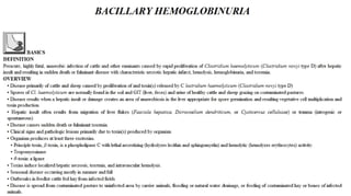 Blackwell's 5 Minute Veterinary Consult - Ruminant