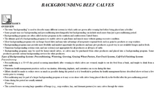 Blackwell's 5 Minute Veterinary Consult - Ruminant