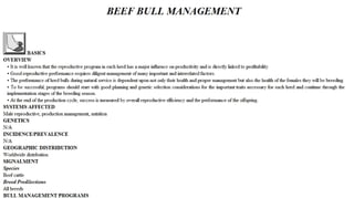 Blackwell's 5 Minute Veterinary Consult - Ruminant