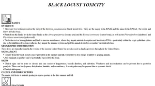 Blackwell's 5 Minute Veterinary Consult - Ruminant