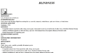 Blackwell's 5 Minute Veterinary Consult - Ruminant