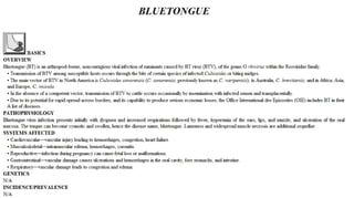 Blackwell's 5 Minute Veterinary Consult - Ruminant