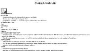 Blackwell's 5 Minute Veterinary Consult - Ruminant