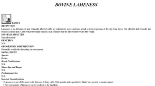 Blackwell's 5 Minute Veterinary Consult - Ruminant