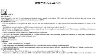 Blackwell's 5 Minute Veterinary Consult - Ruminant