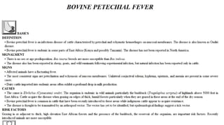 Blackwell's 5 Minute Veterinary Consult - Ruminant