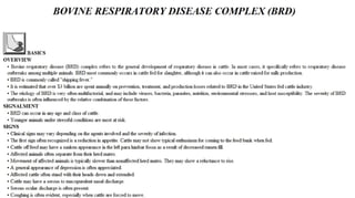 Blackwell's 5 Minute Veterinary Consult - Ruminant