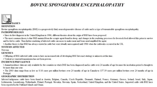 Blackwell's 5 Minute Veterinary Consult - Ruminant