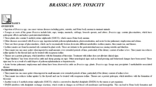 Blackwell's 5 Minute Veterinary Consult - Ruminant