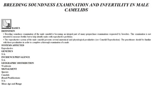 Blackwell's 5 Minute Veterinary Consult - Ruminant