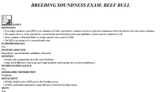 Blackwell's 5 Minute Veterinary Consult - Ruminant