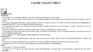 Blackwell's 5 Minute Veterinary Consult - Ruminant