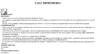 Blackwell's 5 Minute Veterinary Consult - Ruminant