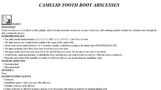 Blackwell's 5 Minute Veterinary Consult - Ruminant