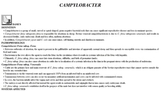 Blackwell's 5 Minute Veterinary Consult - Ruminant