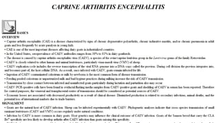 Blackwell's 5 Minute Veterinary Consult - Ruminant