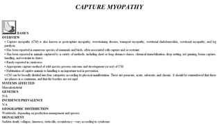 Blackwell's 5 Minute Veterinary Consult - Ruminant