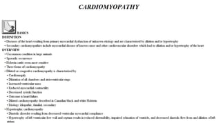 Blackwell's 5 Minute Veterinary Consult - Ruminant