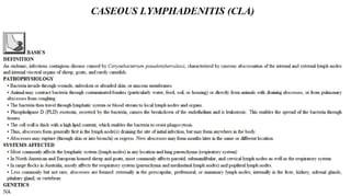 Blackwell's 5 Minute Veterinary Consult - Ruminant