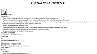 Blackwell's 5 Minute Veterinary Consult - Ruminant