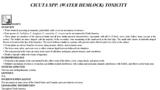 Blackwell's 5 Minute Veterinary Consult - Ruminant