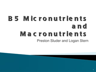 B5 Micronutrients and Macronutrients ,[object Object]