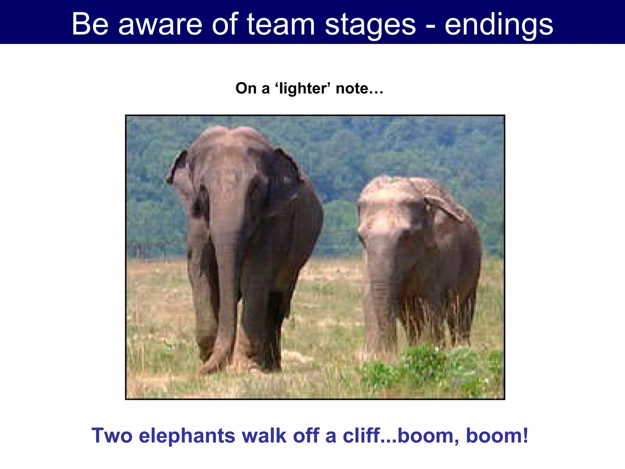 Be aware of team stages - endings Two elephants walk off a cliff...boom, boom!   On a ‘lighter’ note…   