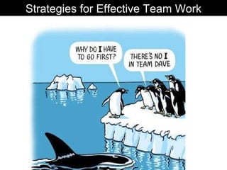 Strategies for Effective Team Work 
