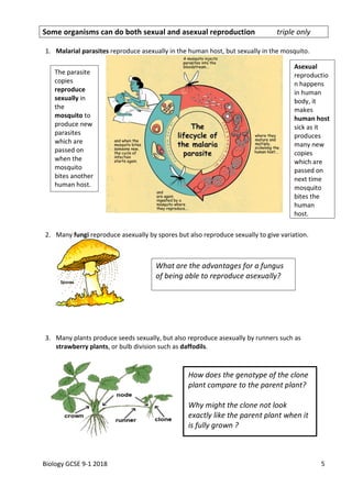 b6-inheritance-notes-biology-triple.pdf