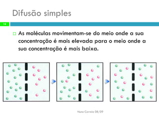 B6   Movimentos Transmembranares 1