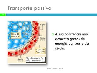B6   Movimentos Transmembranares 1