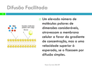B6   Movimentos Transmembranares 1