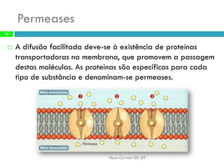 B6   Movimentos Transmembranares 1