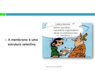 B6   Movimentos Transmembranares 1