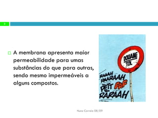 B6   Movimentos Transmembranares 1