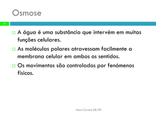 B6   Movimentos Transmembranares 1