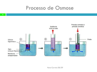 B6   Movimentos Transmembranares 1