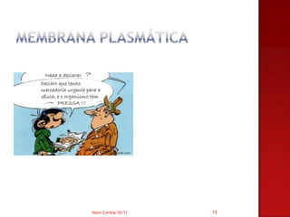 Nuno Correia 10/11   13
 