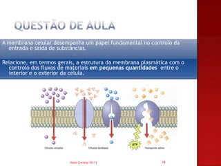 A membrana celular desempenha um papel fundamental no controlo da
  entrada e saída de substâncias.

Relacione, em termos gerais, a estrutura da membrana plasmática com o
  controlo dos fluxos de materiais em pequenas quantidades entre o
  interior e o exterior da célula.




                         Nuno Correia 10/11                 19
 