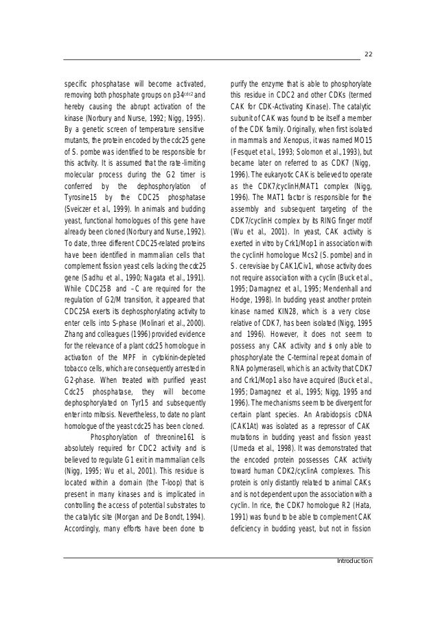 Dissertation meaning image